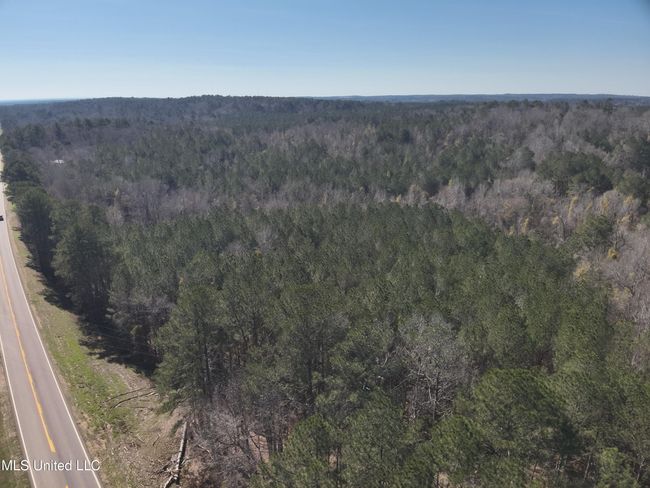 DJI_20250311103507_0027_V | Image 6