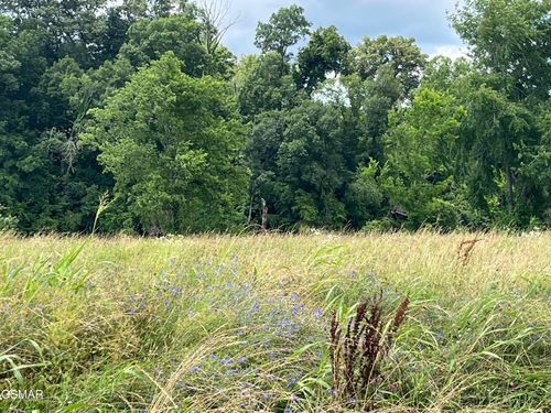 39 Tributary Dr, Sevierville, TN, 37876-5011 | Card Image