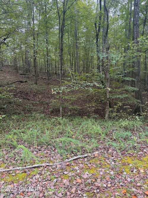 177 Jackson Cv, Saulsbury, TN, 38067-7503 | Card Image