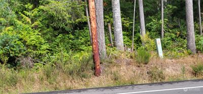 No gravel road to through. The lot sits off of NW Holly Rd. | Image 2