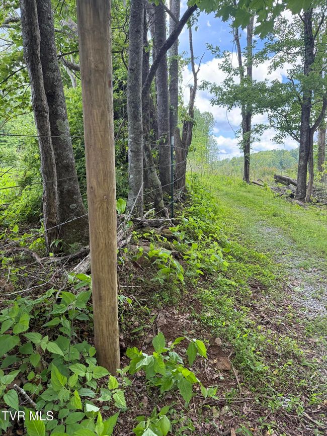00 Heavens View Ln, Home with 0 bedrooms, 0 bathrooms and null parking in Gate City VA | Image 7
