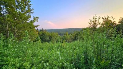 0 Center Pond Road, Home with 0 bedrooms, 0 bathrooms and null parking in Newark VT | Image 3