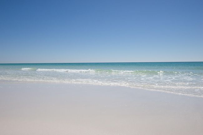 22_Sea Oats_20150307_043 | Image 35