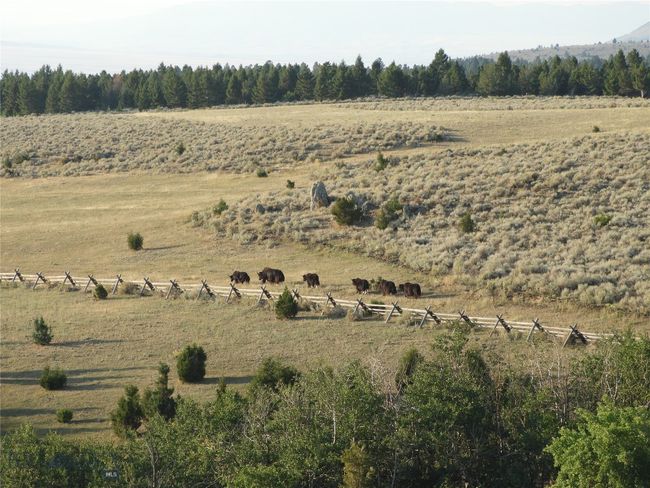5845 Dry Creek Ranch Rd, House other with 3 bedrooms, 3 bathrooms and null parking in Whitehall MT | Image 7