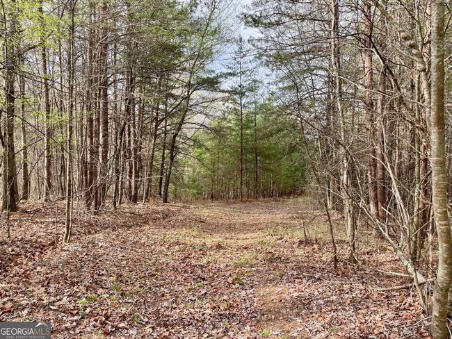 0 Mountain Ridge Dr, Home with 0 bedrooms, 0 bathrooms and null parking in Dahlonega GA | Image 6