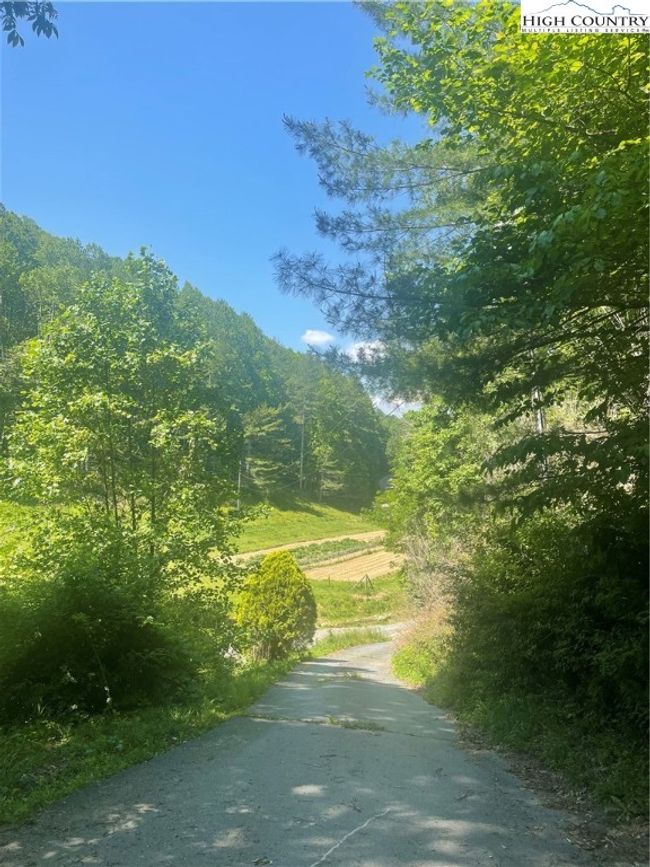 Area view coming down drive! | Image 21