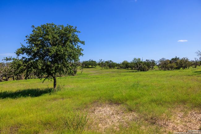 2250 Otte Rd, Home with 2 bedrooms, 2 bathrooms and null parking in Stonewall TX | Image 21