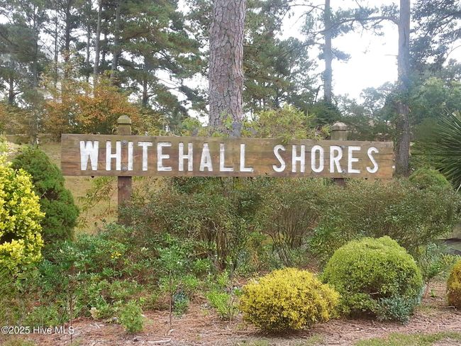 305 Whitehall Rd, House other with 4 bedrooms, 3 bathrooms and 2 parking in Camden NC | Image 40