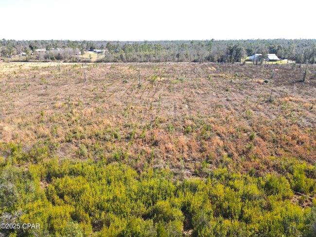 0 John F Bailey Rd, Home with 0 bedrooms, 0 bathrooms and null parking in Blountstown FL | Image 13