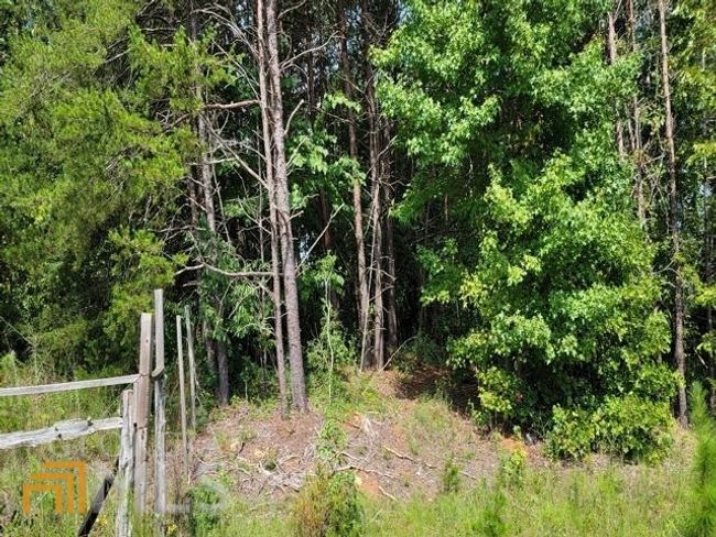 0 E Silver Shoals Rd, Home with 0 bedrooms, 0 bathrooms and null parking in Toccoa GA | Image 4