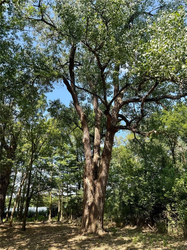 Lot 340 Grand View Dr, Home with 0 bedrooms, 0 bathrooms and null parking in Athens TX | Image 21