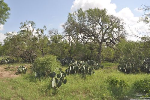 TBD County Road 662, Devine, TX, 78016 | Card Image