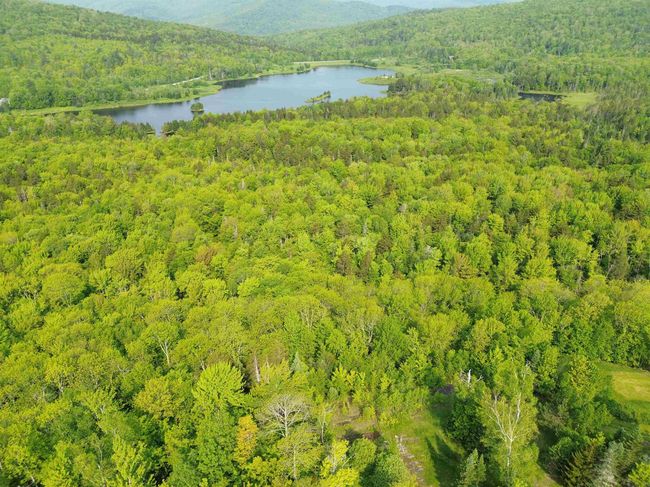 48 Alberts Ln, Home with 0 bedrooms, 0 bathrooms and null parking in Warren VT | Image 8