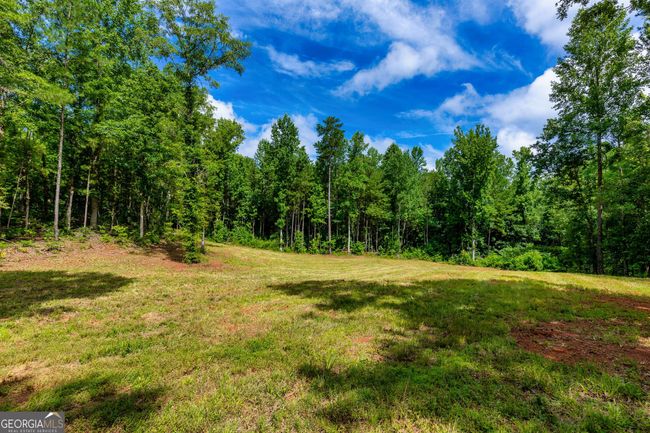 0 John Lovelace Rd, Home with 0 bedrooms, 0 bathrooms and null parking in LAGRANGE GA | Image 24
