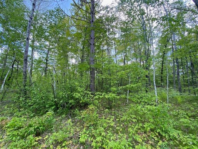 0 Hustvet Dr, Home with 0 bedrooms, 0 bathrooms and null parking in Trego WI | Image 11