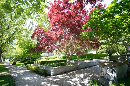 225-5777 Birney Ave, Vancouver, BC, V6S0A4 | Card Image
