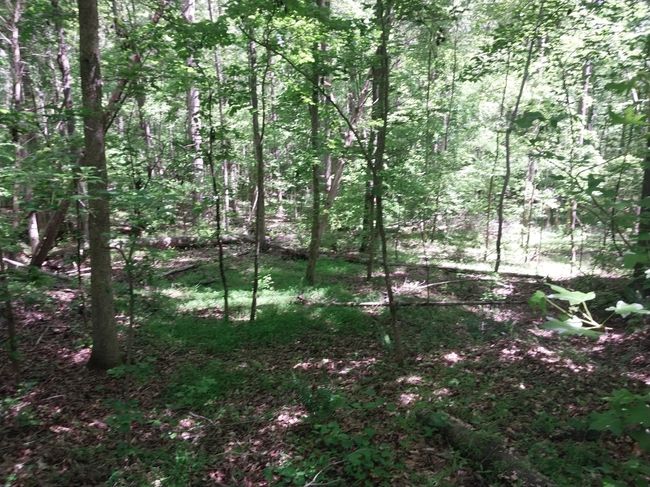 846 Latimer Mill Rd, Home with 0 bedrooms, 0 bathrooms and null parking in Honea Path SC | Image 17