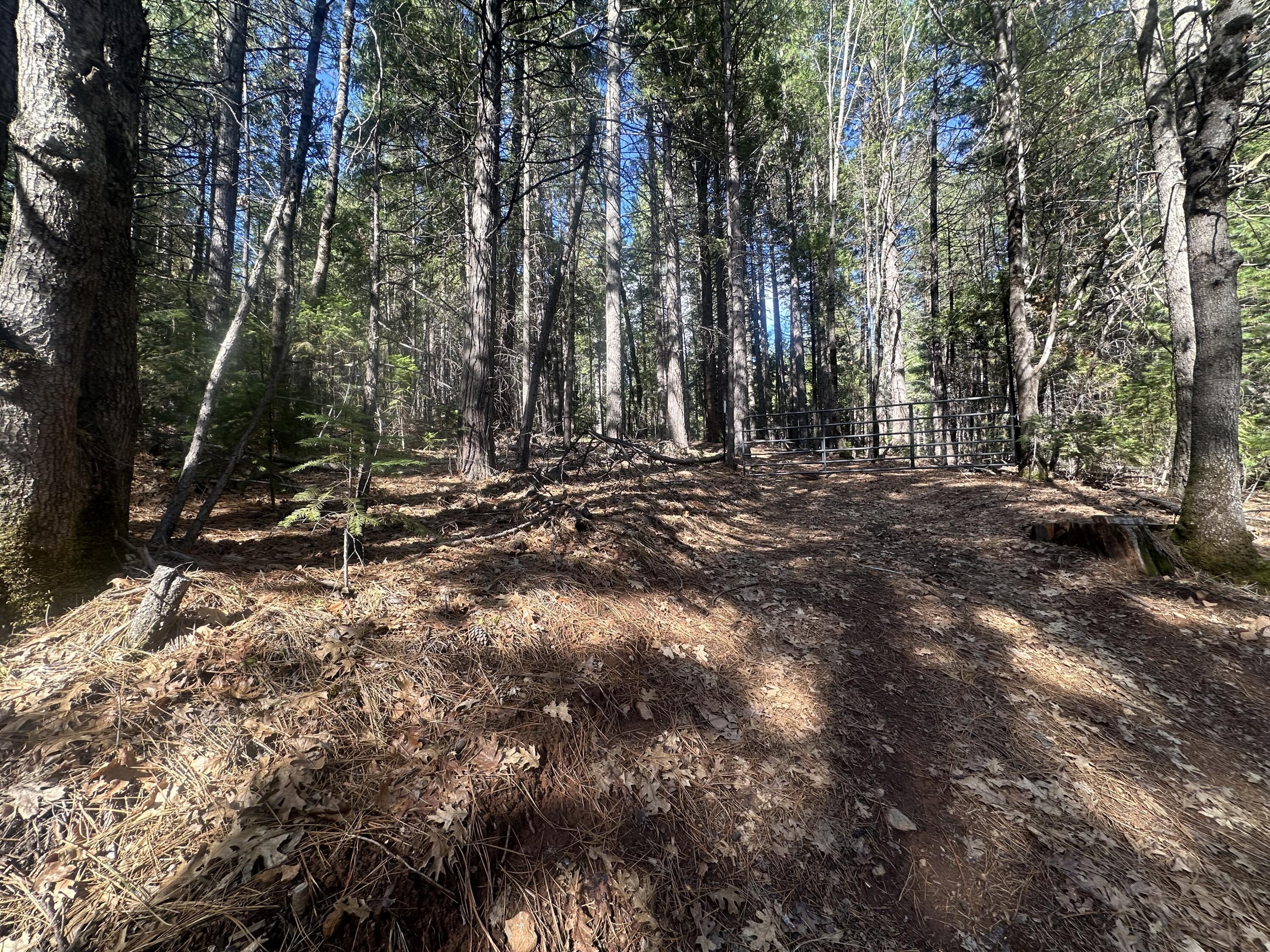 Land in Oak Run 4