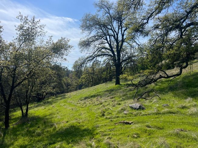 18907 Shake Ridge Rd, Home with 0 bedrooms, 0 bathrooms and null parking in Sutter Creek CA | Image 10