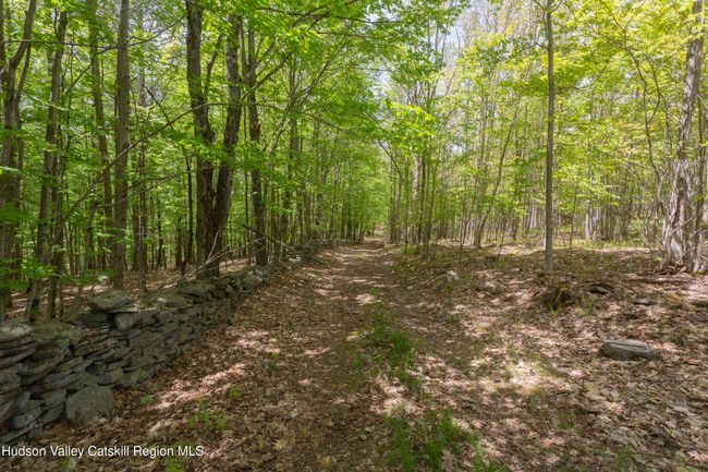 14 - 1214 Armstrong Rd, House other with 7 bedrooms, 4 bathrooms and null parking in Arkville NY | Image 43