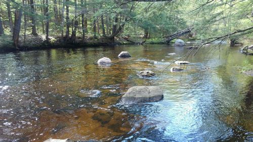 28 Beech River Cir, Center Ossipee, NH, 03814-7000 | Card Image