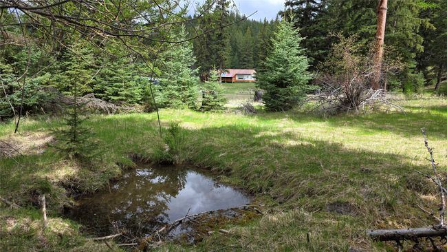 Spring fed pond | Image 8