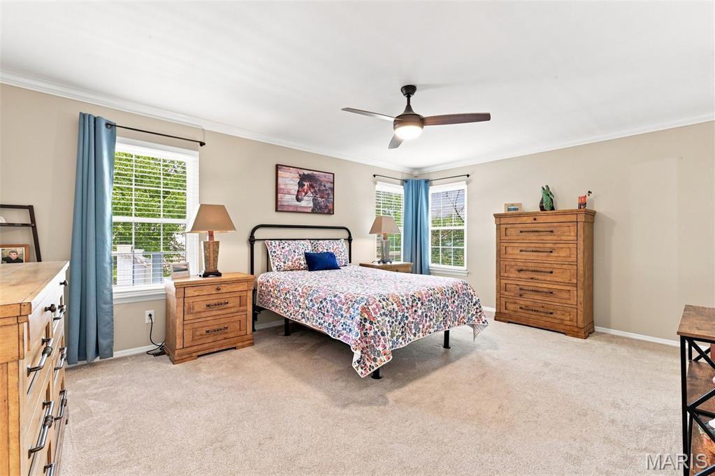Residential in St Charles 5