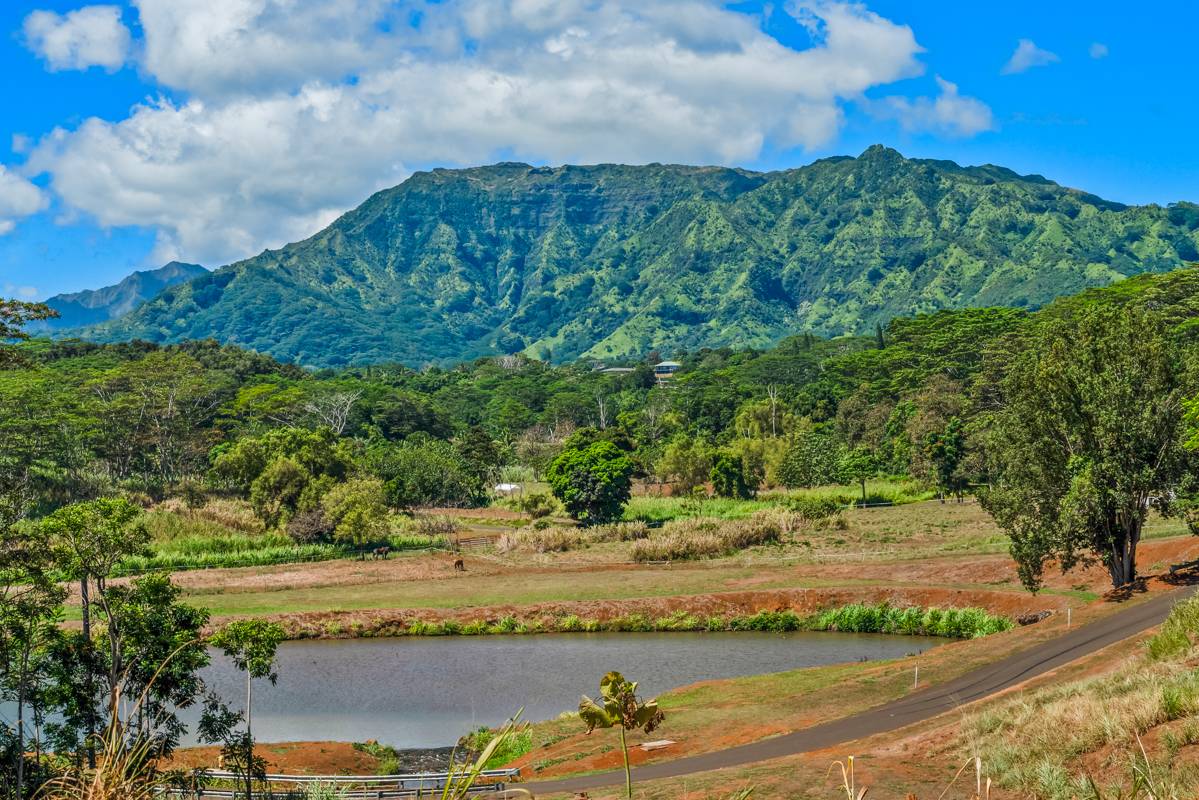 Land in Kapaa 3