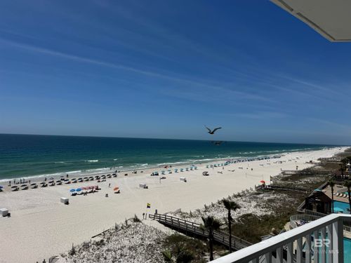 apt-704-24114 Perdido Beach Blvd, Orange Beach, AL, 36561-3047 | Card Image