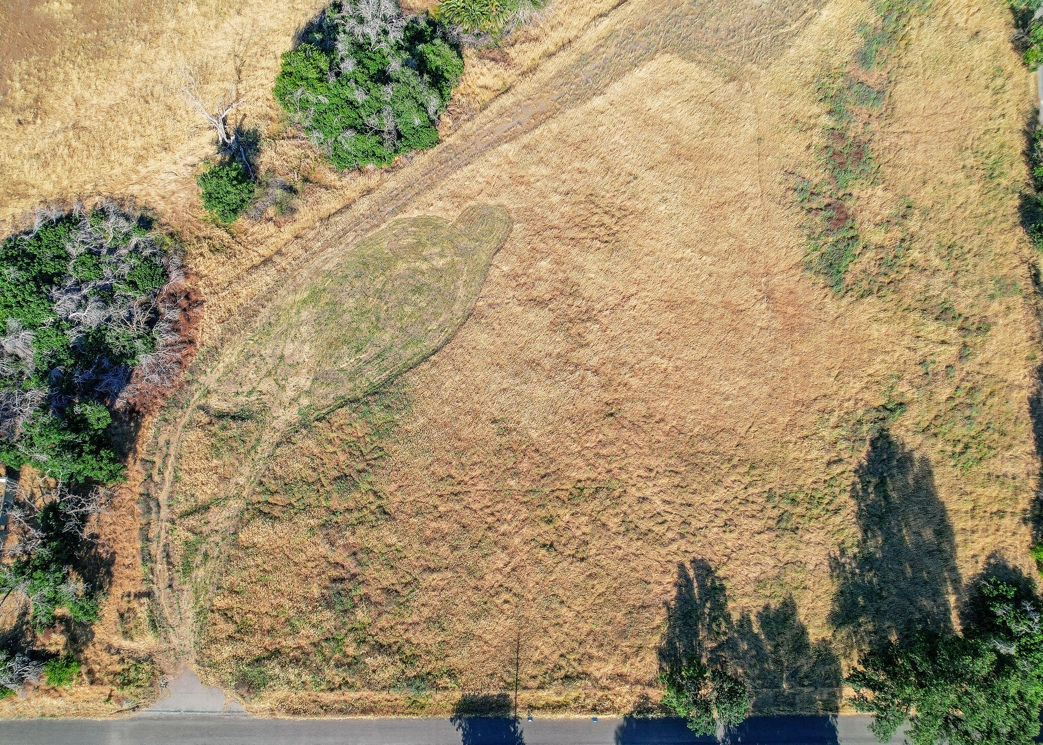 Land in Orland 5