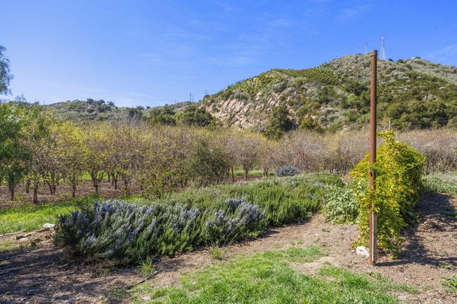4620 Casitas Pass Rd, House other with 3 bedrooms, 3 bathrooms and null parking in Ventura CA | Image 47