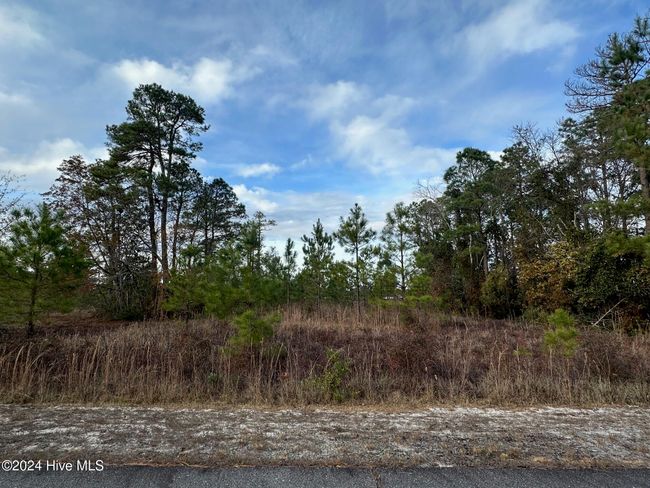 292 S Horsepen Rd, Home with 0 bedrooms, 0 bathrooms and null parking in Harrells NC | Image 9