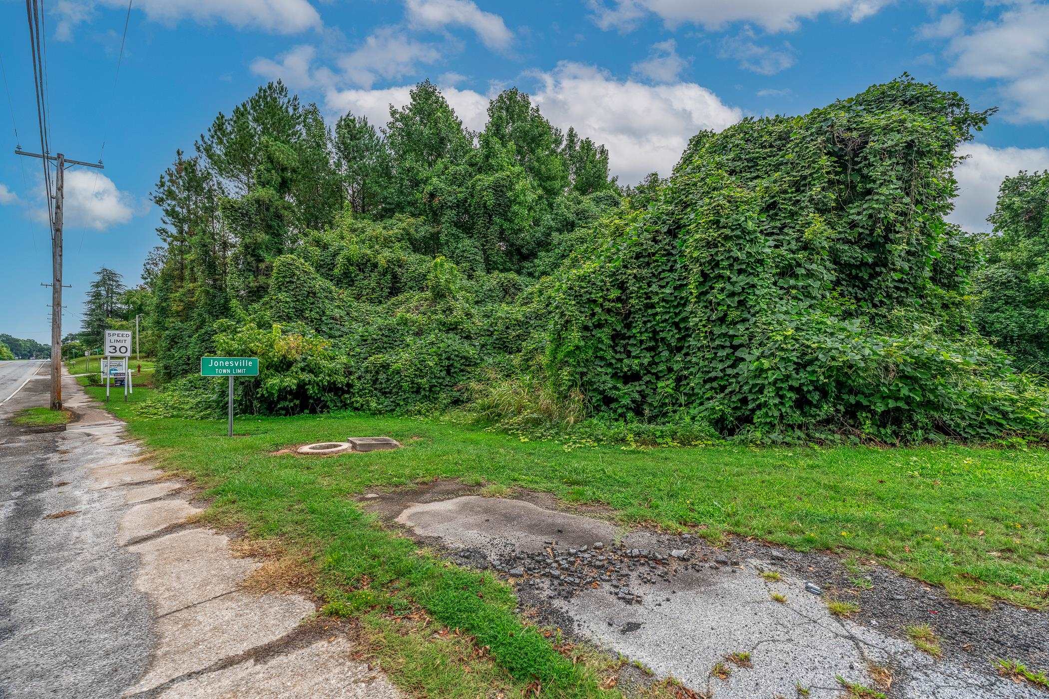 Land in Jonesville 5