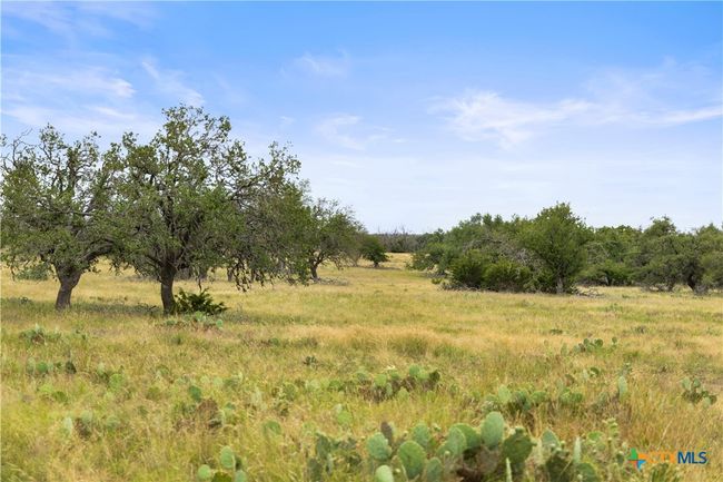 3049 Reservation Rd, Home with 0 bedrooms, 0 bathrooms and null parking in Harper TX | Image 33