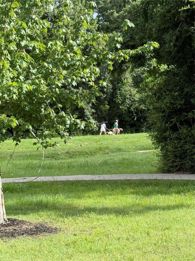 A peaceful, green outdoor area with a paved path, surrounded by trees. Ideal for walking and enjoying nature. | Image 38