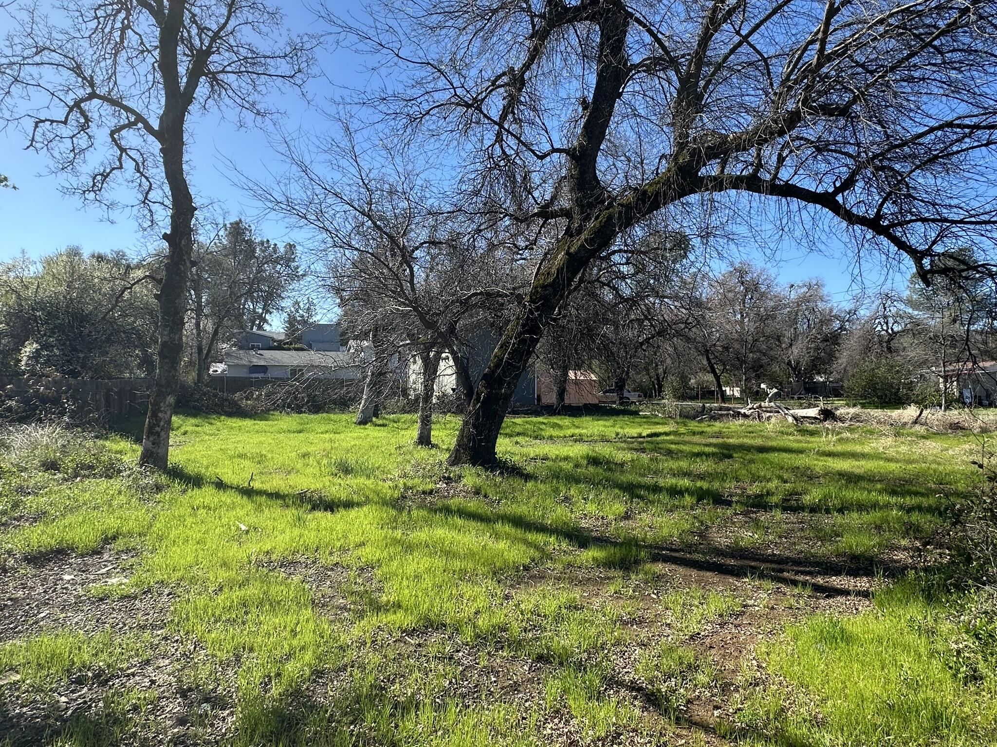 Land in Shasta Lake 2