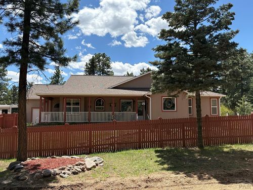 8172 Birch Dr, Rye, CO, 81069-8809 | Card Image