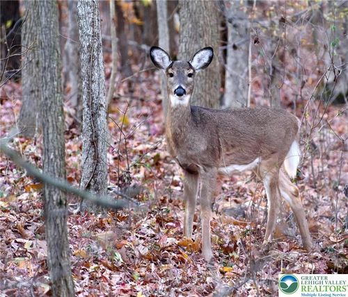 58-129 Fall Ct, Dingmans Ferry, PA, 18328-4019 | Card Image