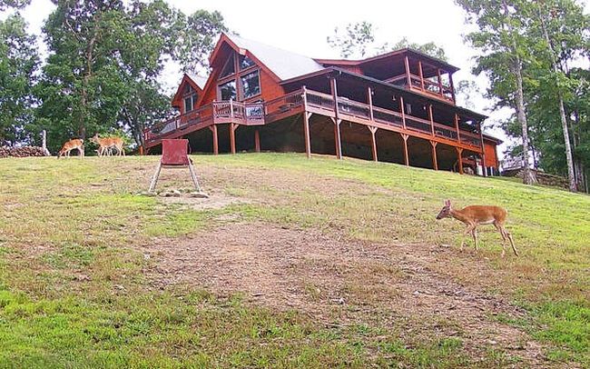 4760 Anderson Rd, Home with 4 bedrooms, 4 bathrooms and 2 parking in Hiawassee GA | Image 88