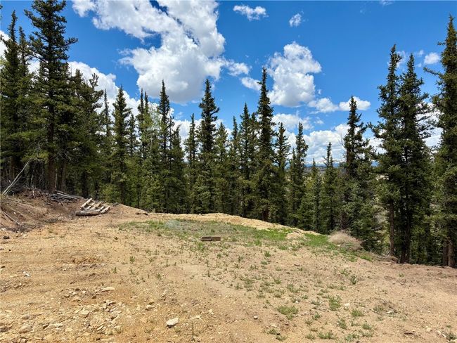 View of wooded area | Image 28