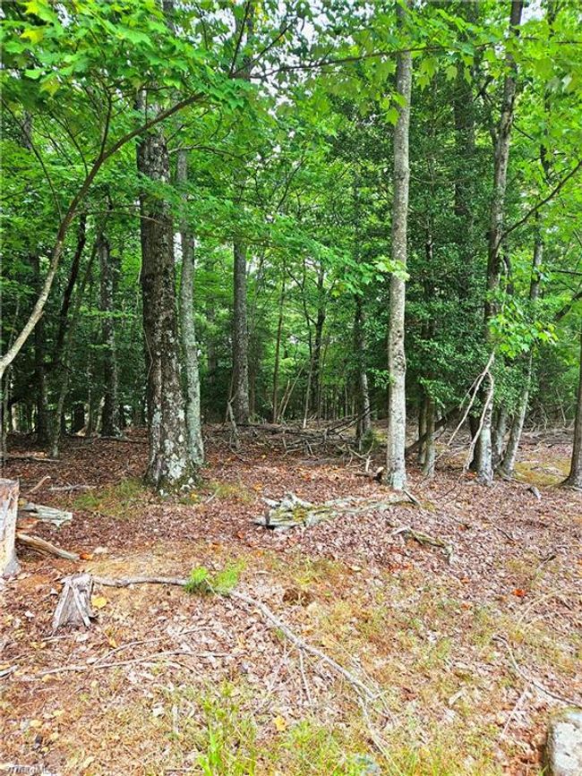 133 View Point Dr, Home with 0 bedrooms, 0 bathrooms and null parking in Traphill NC | Image 9