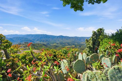 2384 Glenn Rd, Fallbrook, CA, 92028-9608 | Card Image