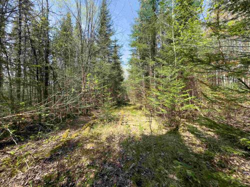 538 Oregon Road, Concord, VT, 05824 | Card Image