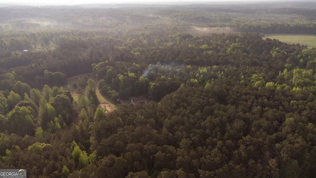 1776 Terrell Rd, House other with 4 bedrooms, 3 bathrooms and null parking in greenville GA | Image 27