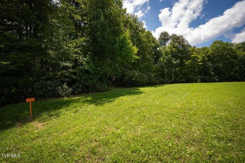 1772 Ripshin Mountain Rd, Roan Mountain, TN, 37687-3758 | Card Image