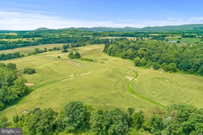 8160 Frogtown Rd, Home with 0 bedrooms, 0 bathrooms and null parking in MARSHALL VA | Image 28