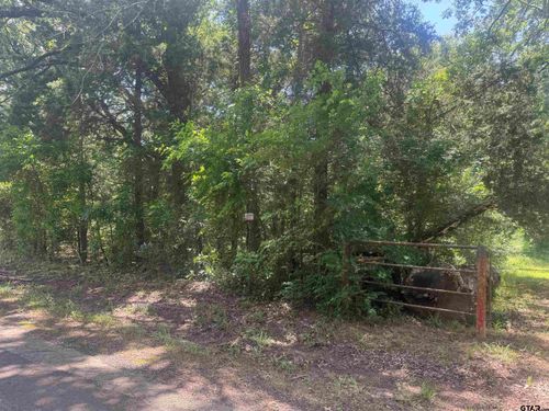 1067 County Road 3331, Cookville, TX, 75558 | Card Image