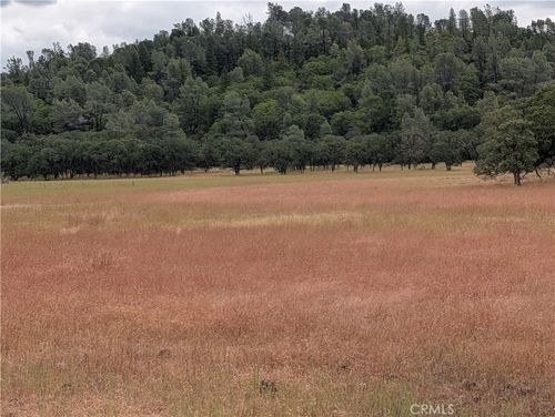19905 Jerusalem Grade, Lower Lake, CA, 95457 | Card Image