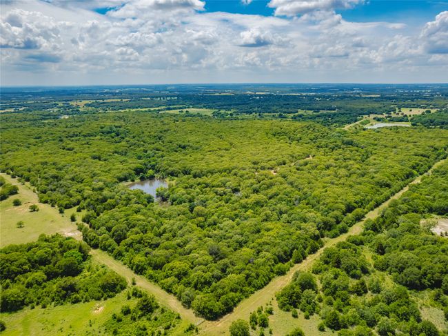 Strong deer and turkey populations inhabit the ranch | Image 35