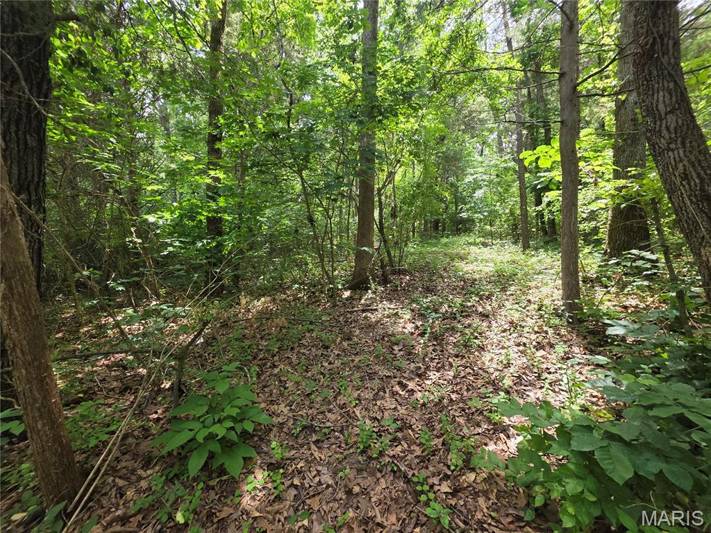 Land in Hillsboro
